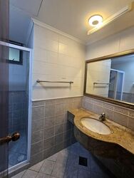 Parc Palais (D21), Condominium #597152861